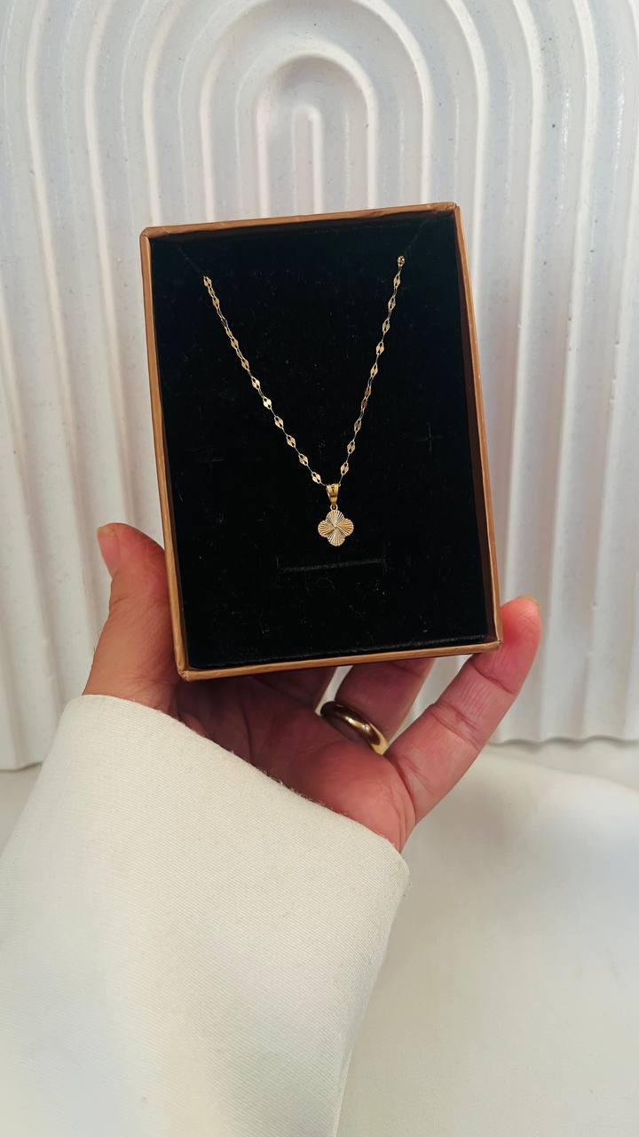 photo_2025-11-13_11-13-04