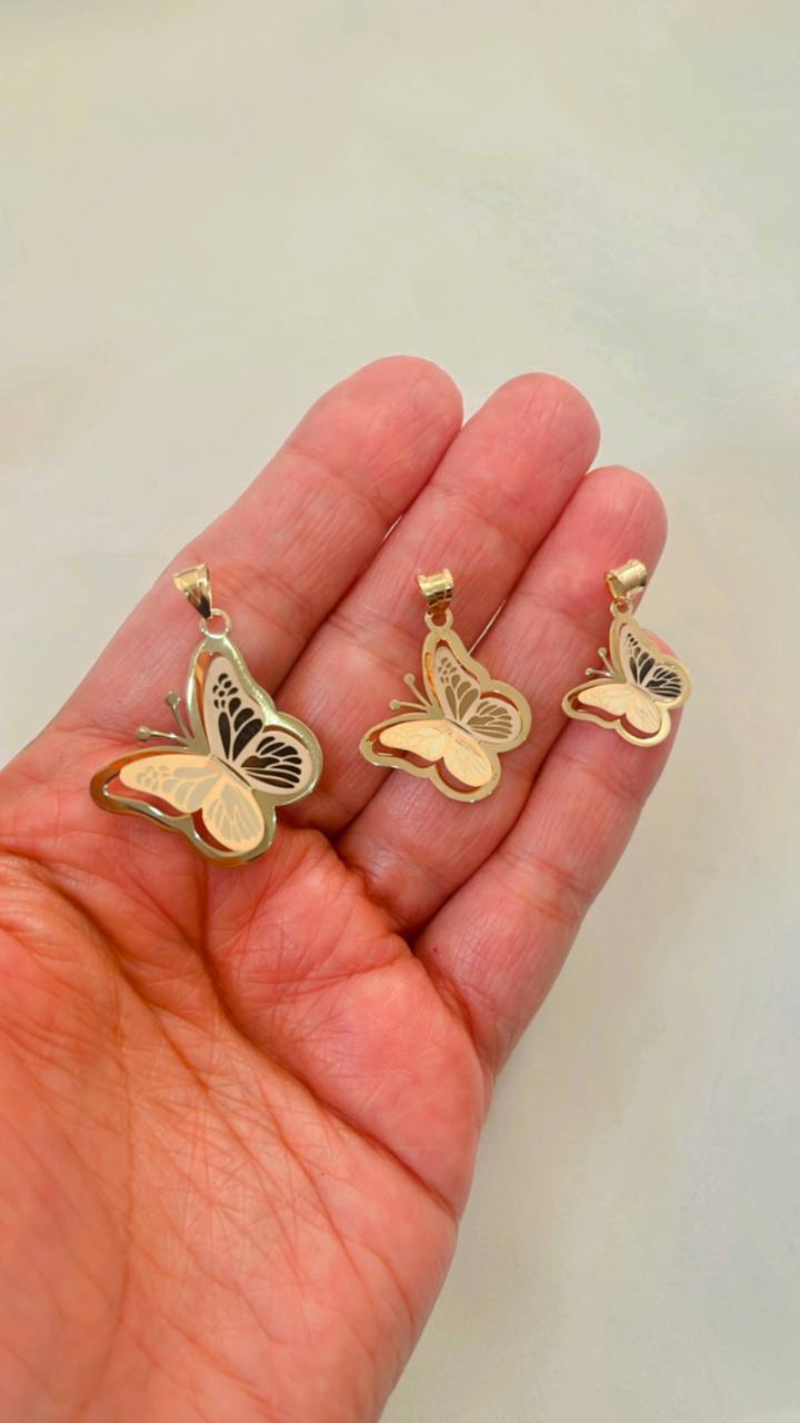 photo_2025-12-04_11-39-58